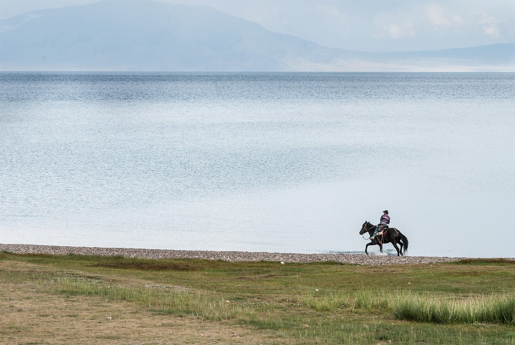 Arazide at binişi